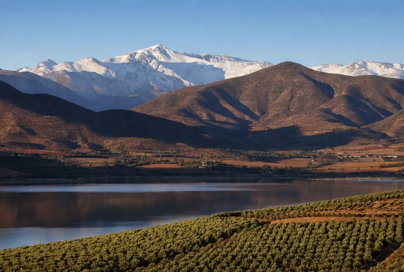 Notaría y Conservador de Monte Patria — paisaje monte patria